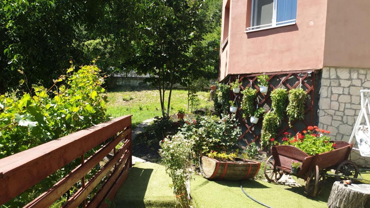 Casa Lorena Sărata-Monteoru Exterior photo