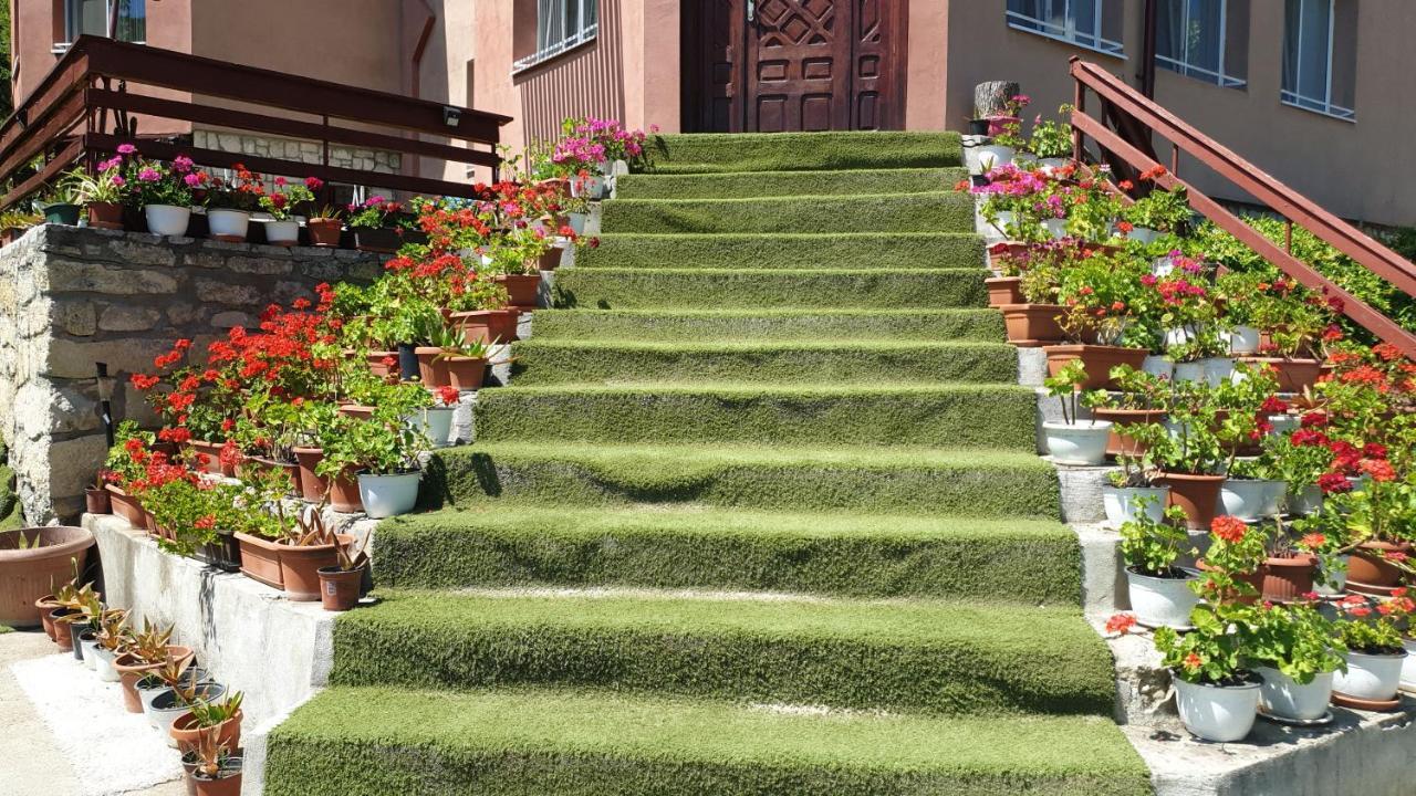 Casa Lorena Sărata-Monteoru Exterior photo