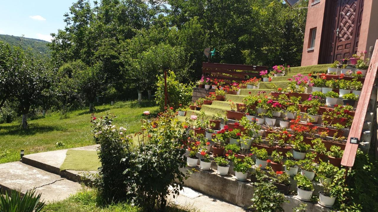 Casa Lorena Sărata-Monteoru Exterior photo