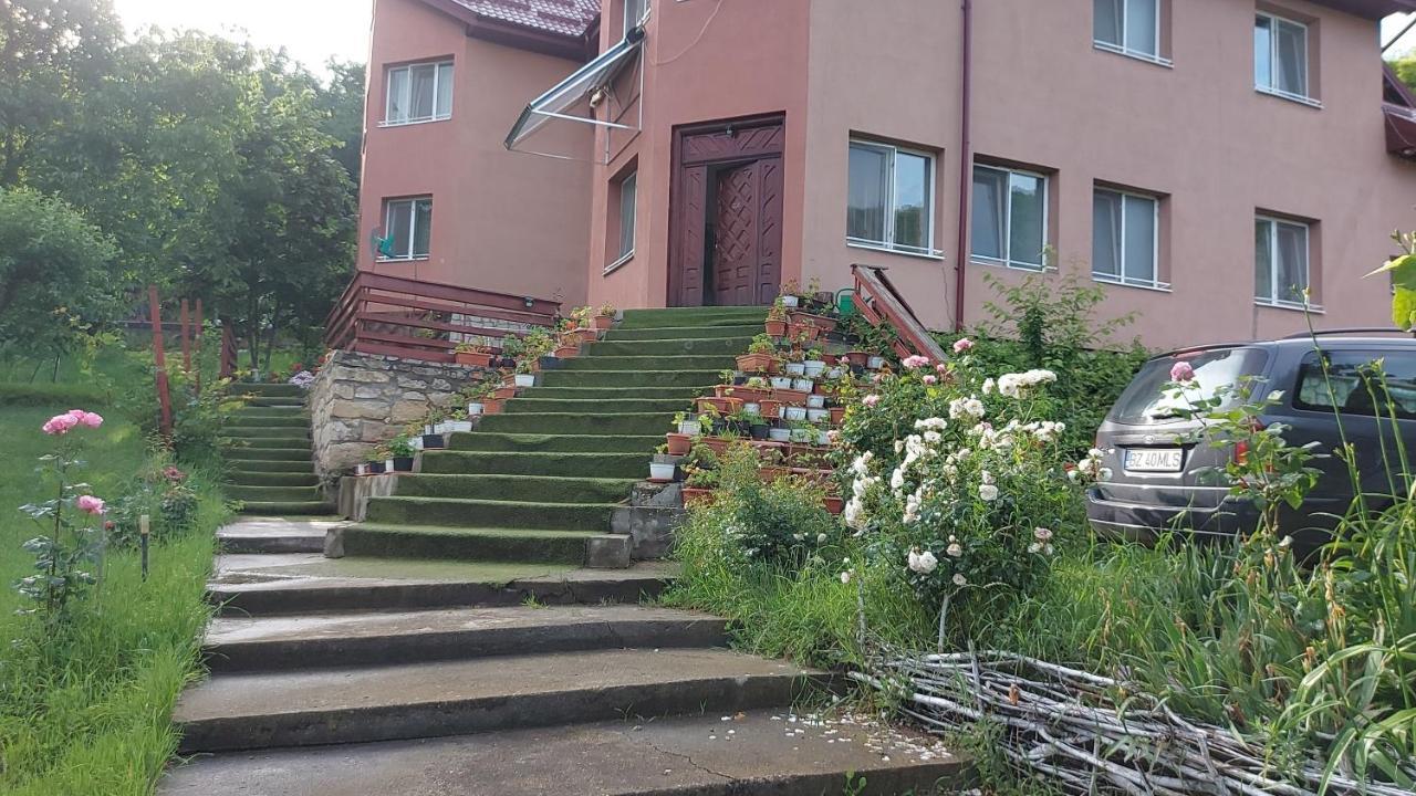 Casa Lorena Sărata-Monteoru Exterior photo